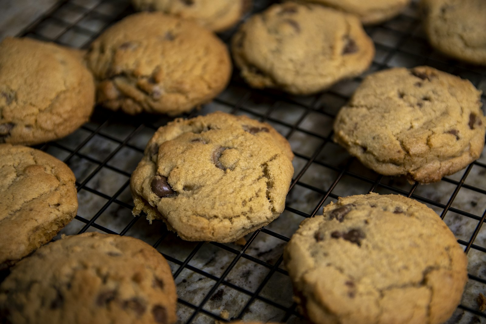Fresh cookies on a cooling rack